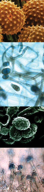 Air Filtration Principles
